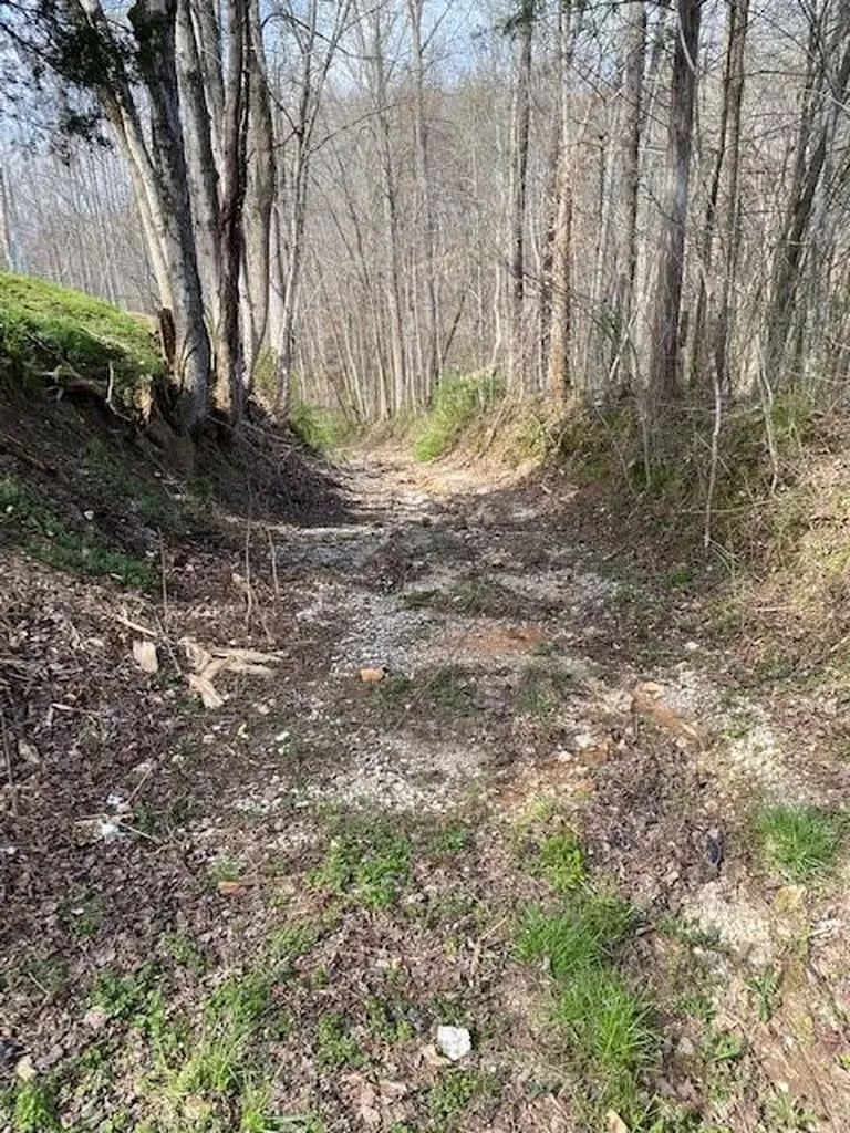 198 Turkey Town Road Hilham TN 38568