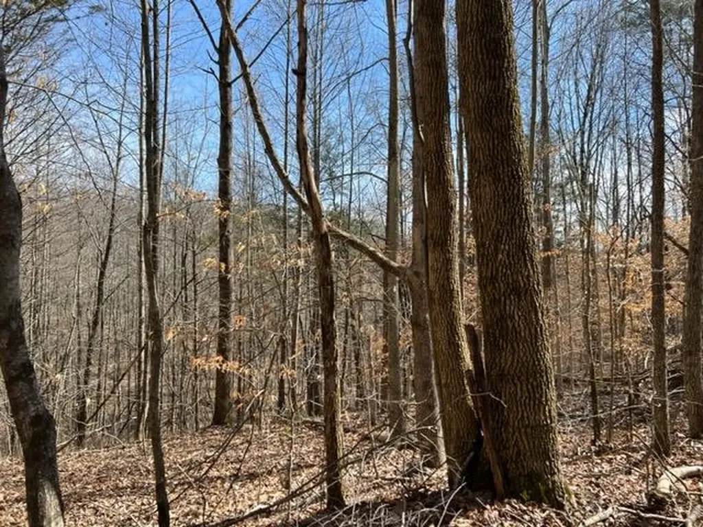198 Turkey Town Road Hilham TN 38568