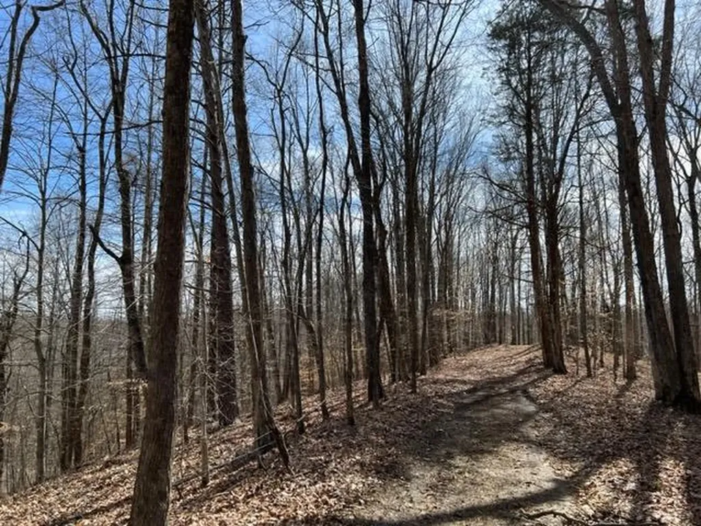 198 Turkey Town Road Hilham TN 38568
