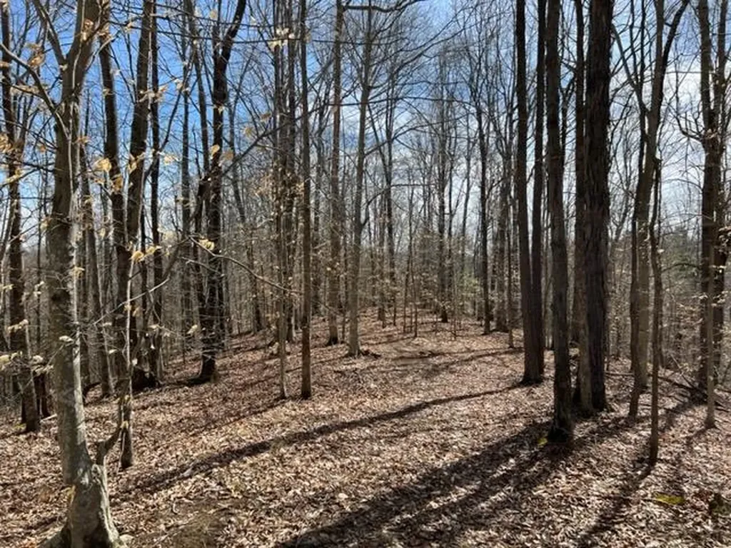 198 Turkey Town Road Hilham TN 38568