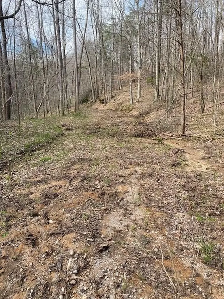 198 Turkey Town Road Hilham TN 38568
