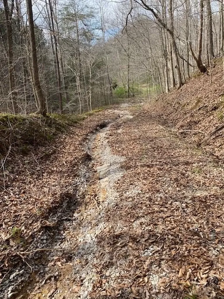 198 Turkey Town Road Hilham TN 38568