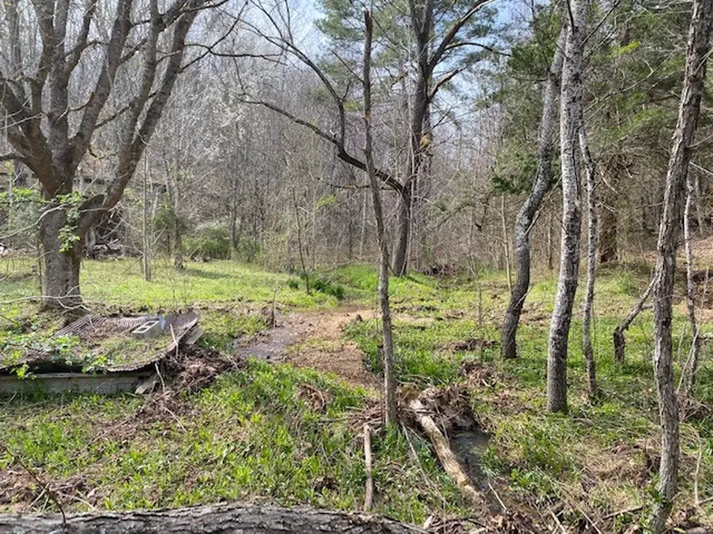 198 Turkey Town Road Hilham TN 38568