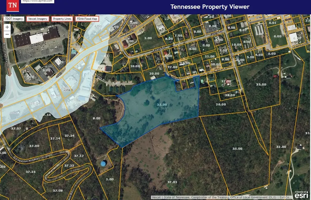 313 Miller Street Livingston TN 38570