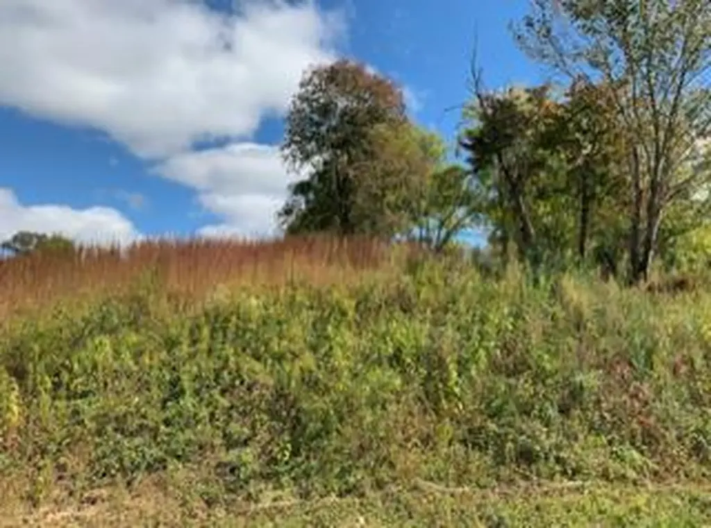 616 Thompson Creek Ln_lot 73 Cookeville TN 38506