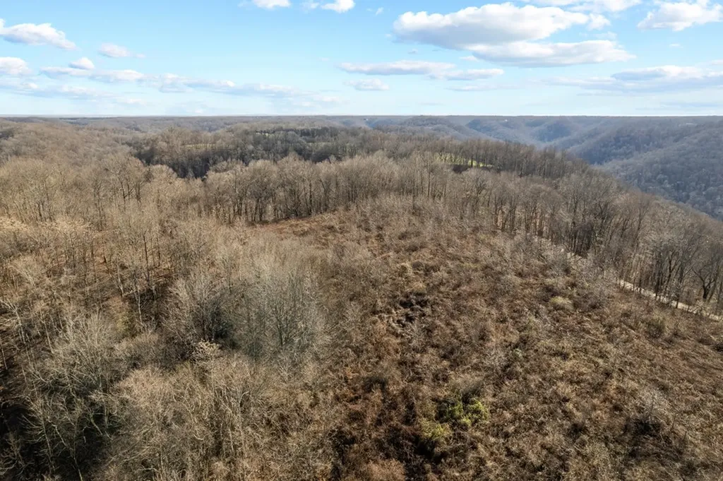 32.48 Ac Hopewell Road Silver Point TN 38582