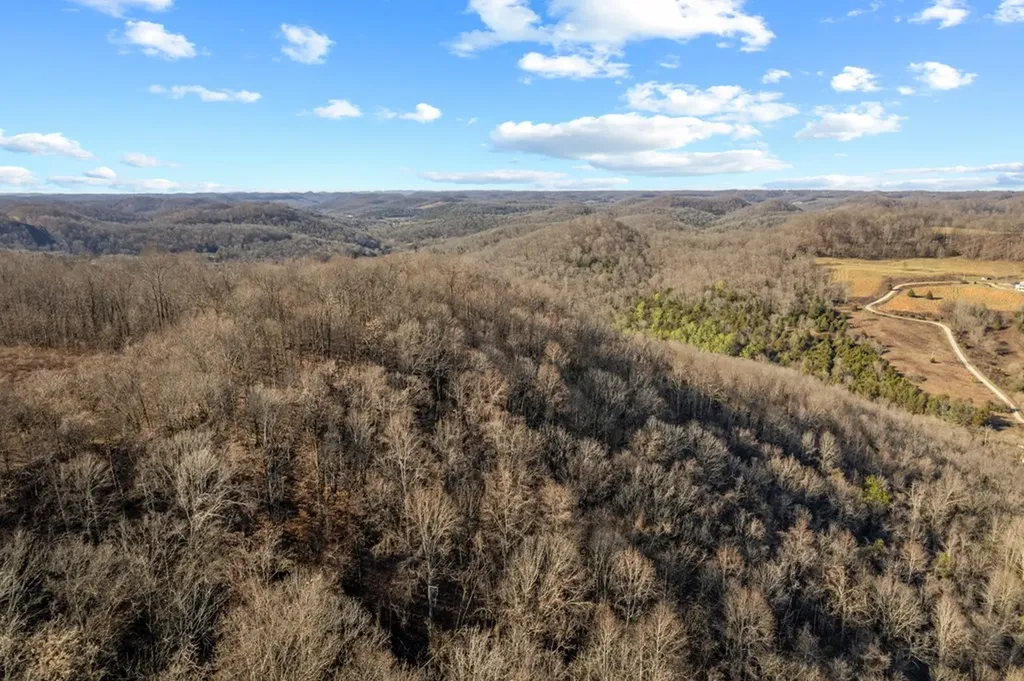 32.48 Ac Hopewell Road Silver Point TN 38582