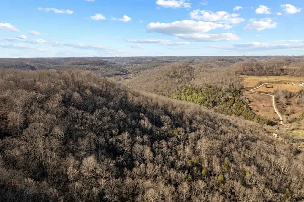 32.48 Ac Hopewell Road Silver Point TN 38582