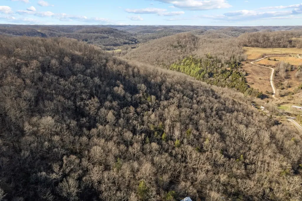 32.48 Ac Hopewell Road Silver Point TN 38582