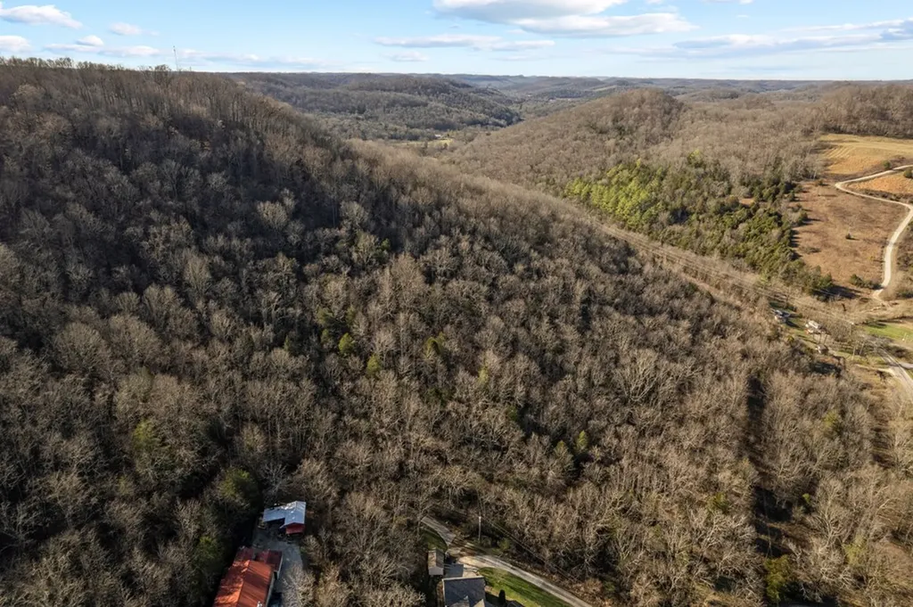 32.48 Ac Hopewell Road Silver Point TN 38582