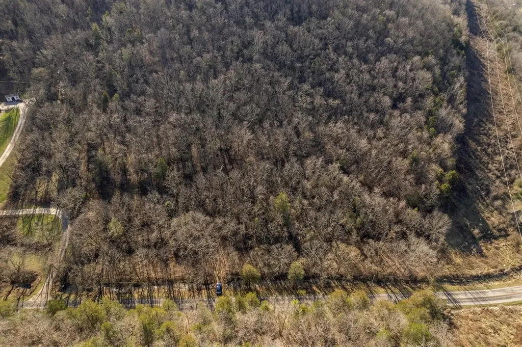 32.48 Ac Hopewell Road Silver Point TN 38582