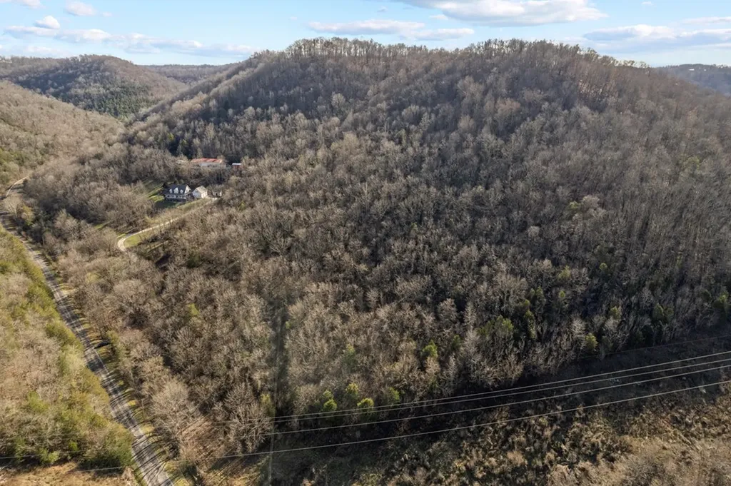 32.48 Ac Hopewell Road Silver Point TN 38582