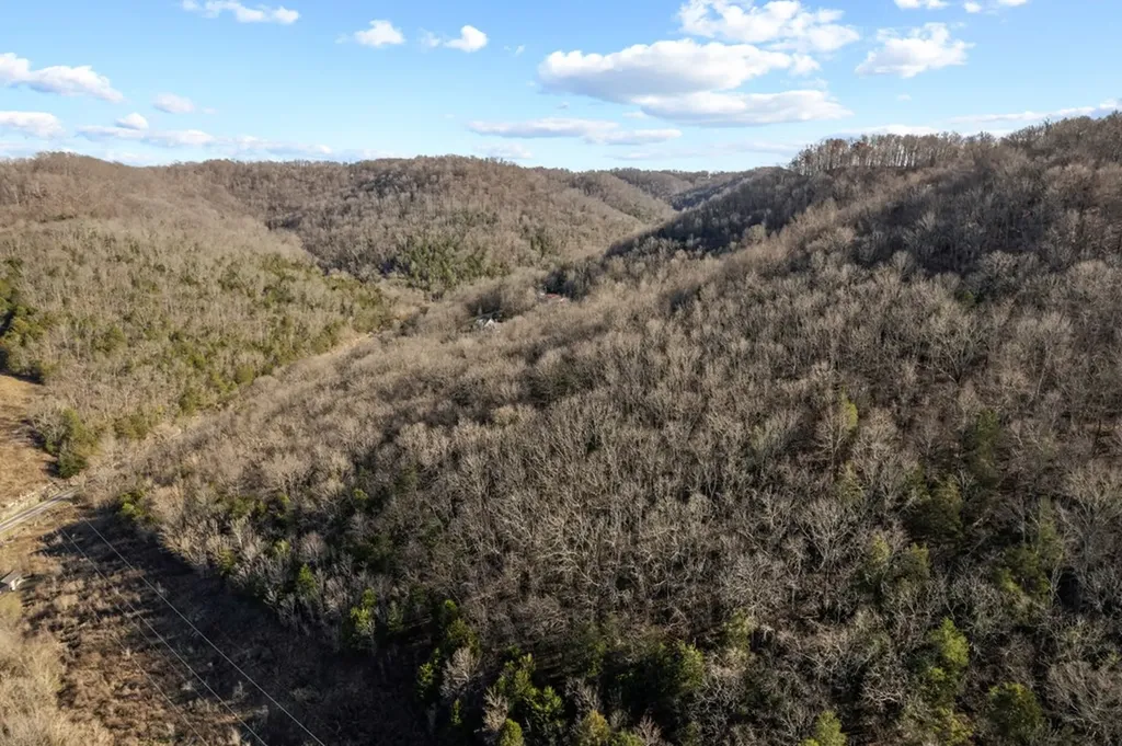 32.48 Ac Hopewell Road Silver Point TN 38582