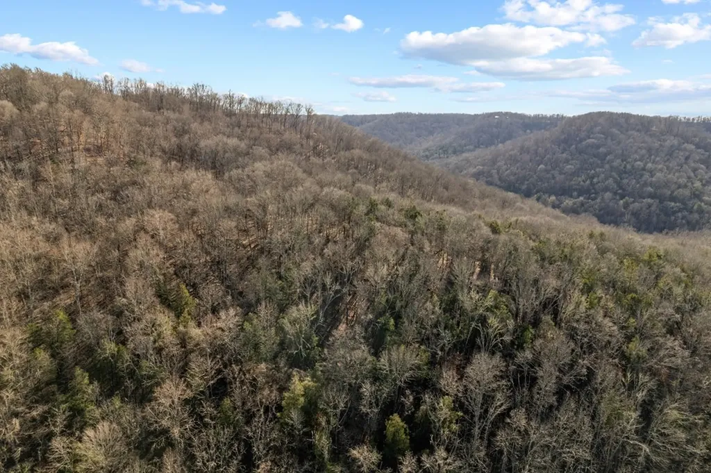 32.48 Ac Hopewell Road Silver Point TN 38582