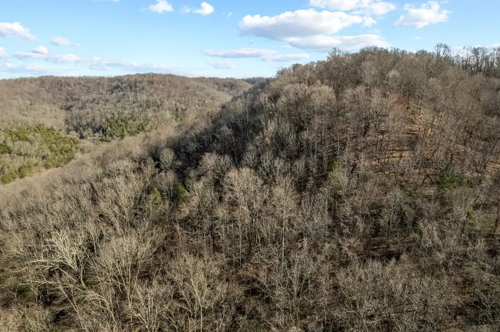 32.48 Ac Hopewell Road Silver Point TN 38582