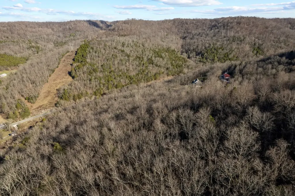 32.48 Ac Hopewell Road Silver Point TN 38582