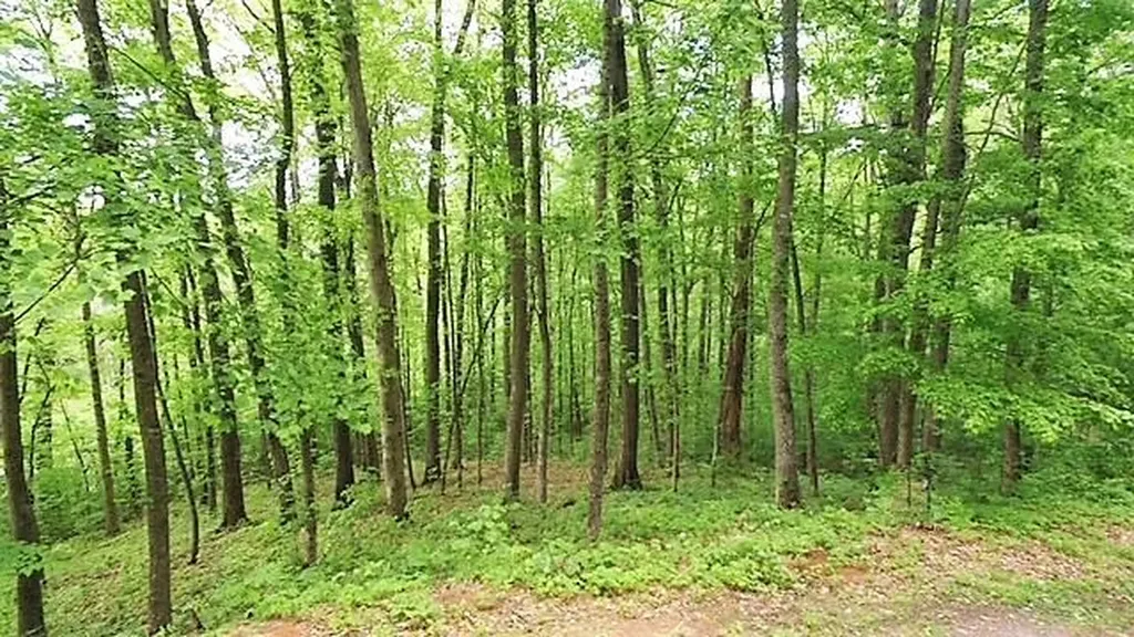 Lot 16 16 Sutton Cove Hiawassee GA 30546