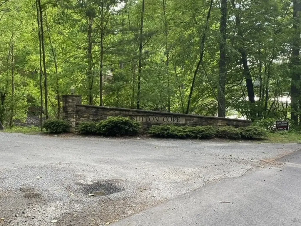 Lot 16 16 Sutton Cove Hiawassee GA 30546