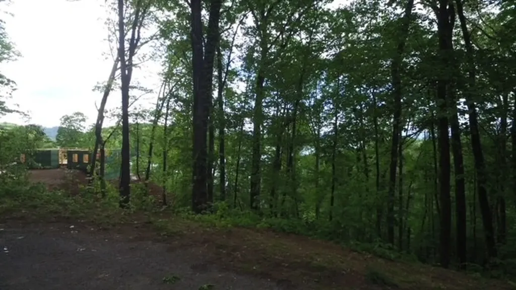 Lot 16 16 Sutton Cove Hiawassee GA 30546