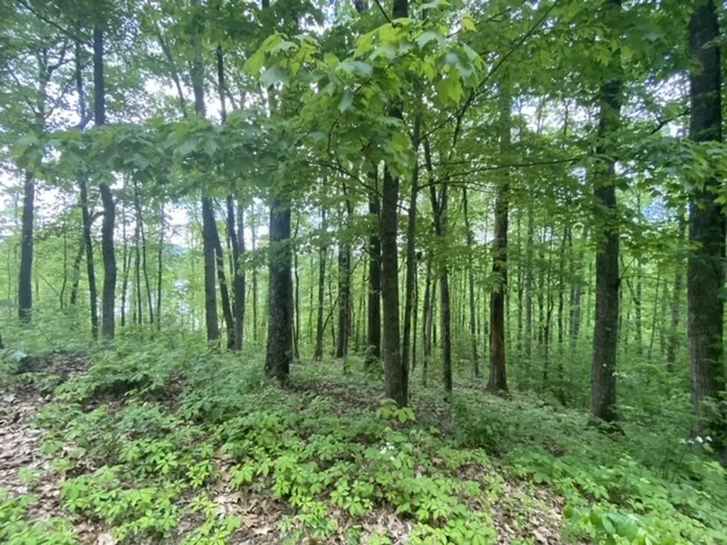Lot 16 16 Sutton Cove Hiawassee GA 30546