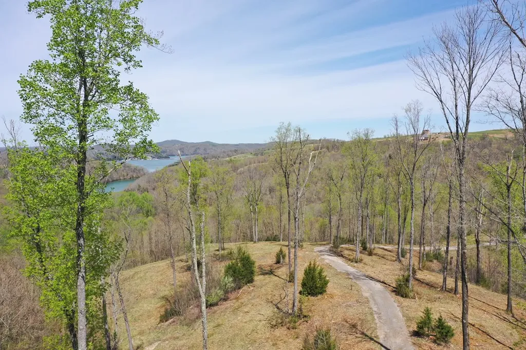 Tract A Swan Ridge Road Hilham TN 38568