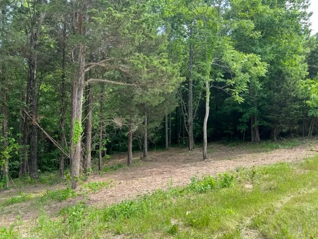 Lot 3 Willow Grove Highway Allons TN 38541