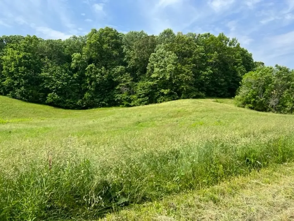 Lot 3 Willow Grove Highway Allons TN 38541