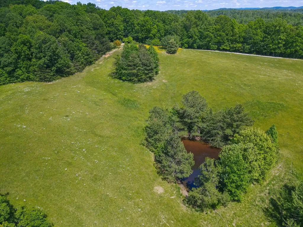 1267 North Pine Hill Road Cookeville TN 38501