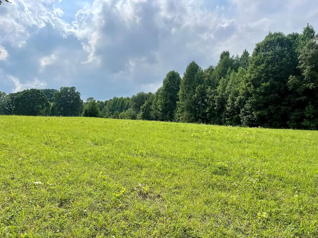 18.2ac Milk Barn Lane Tract 4 Cookeville TN 38506