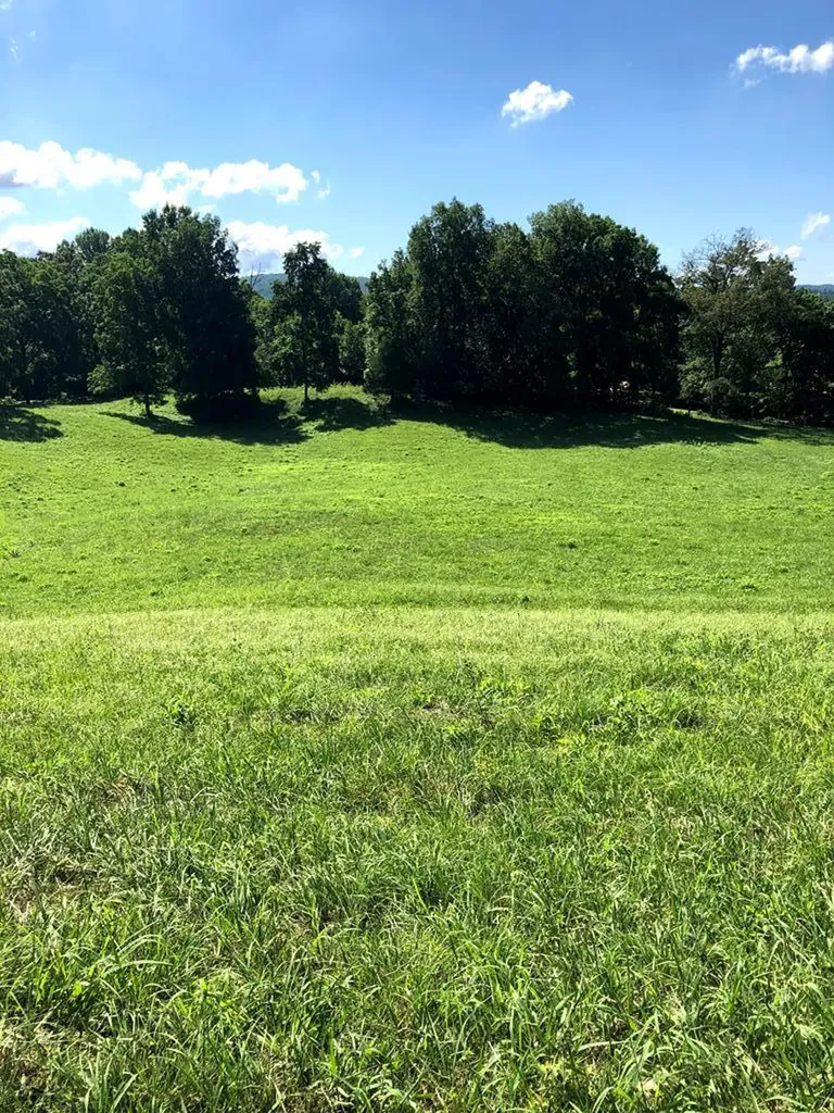 6740 Cherry Creek Road Sparta TN 38583