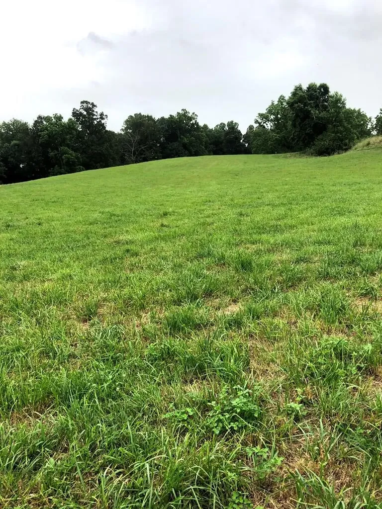 6740 Cherry Creek Road Sparta TN 38583