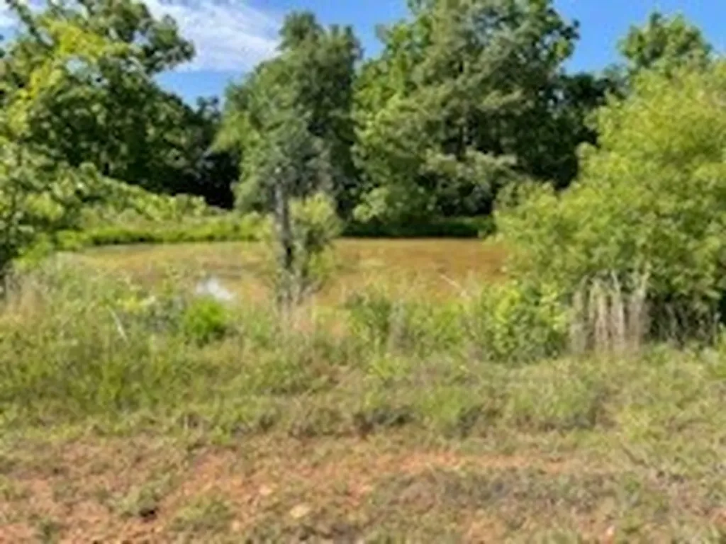 6740 Cherry Creek Road Sparta TN 38583
