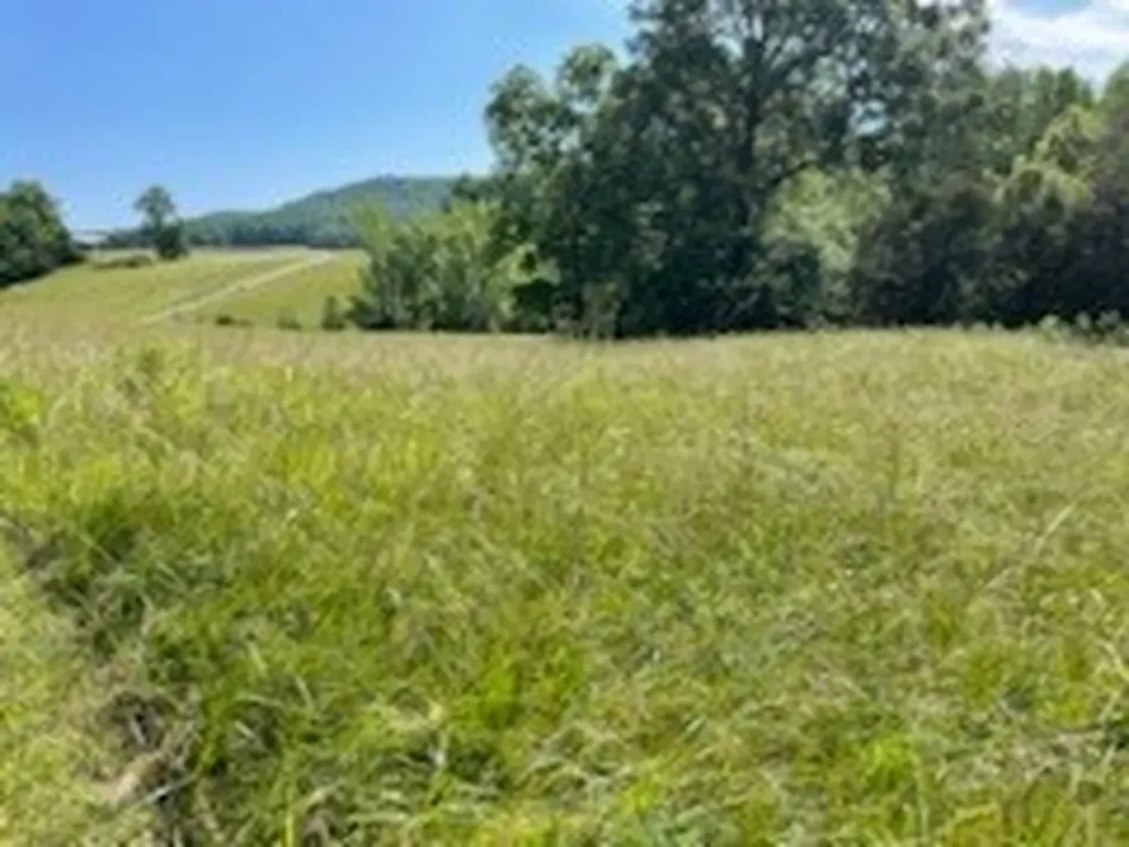 6740 Cherry Creek Road Sparta TN 38583