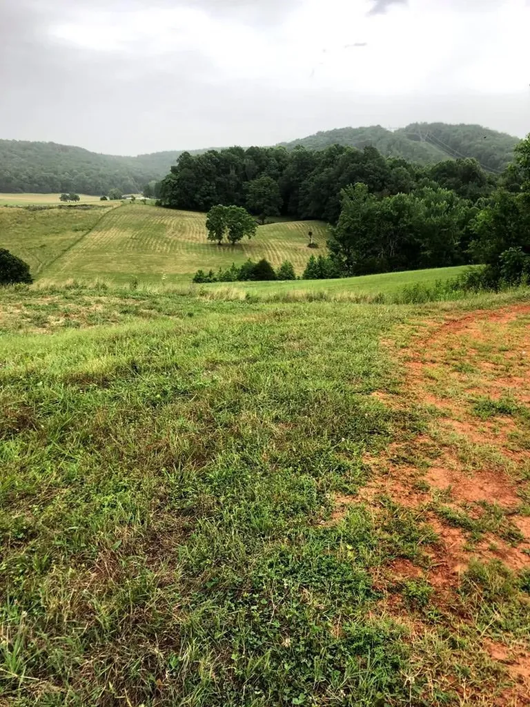 6740 Cherry Creek Road Sparta TN 38583