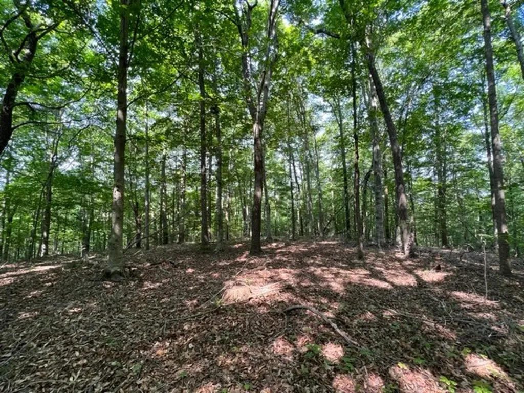 10.97 Ac H R Huffer Lane Allons TN 38541