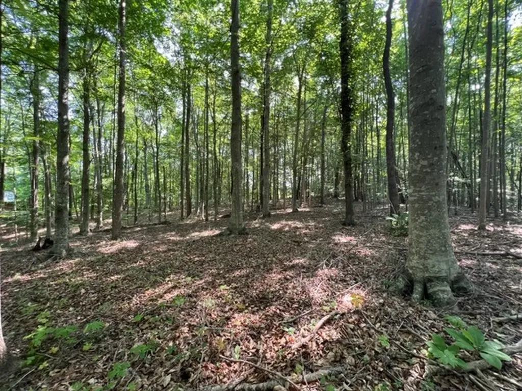 10.97 Ac H R Huffer Lane Allons TN 38541