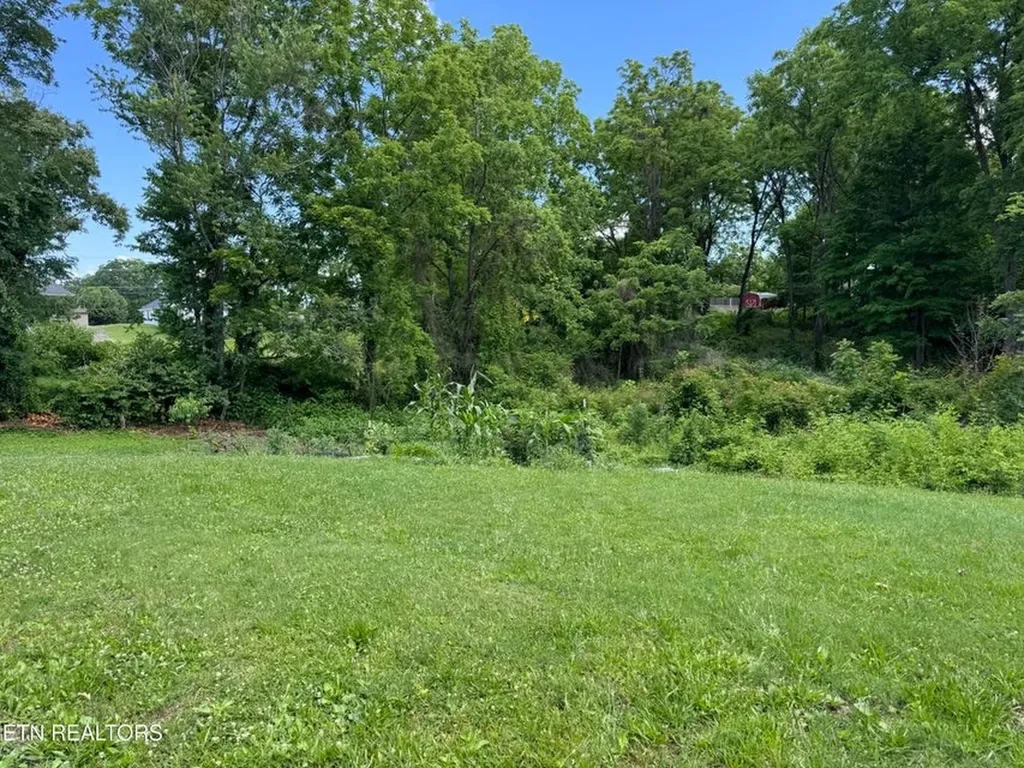 314 & 31 Wheeler Avenue Jamestown TN 38556-4235