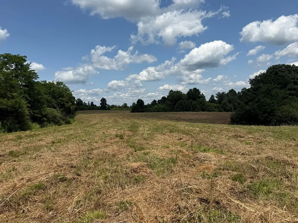 3225 S Grundy Quarles Highway Gainesboro TN 38562