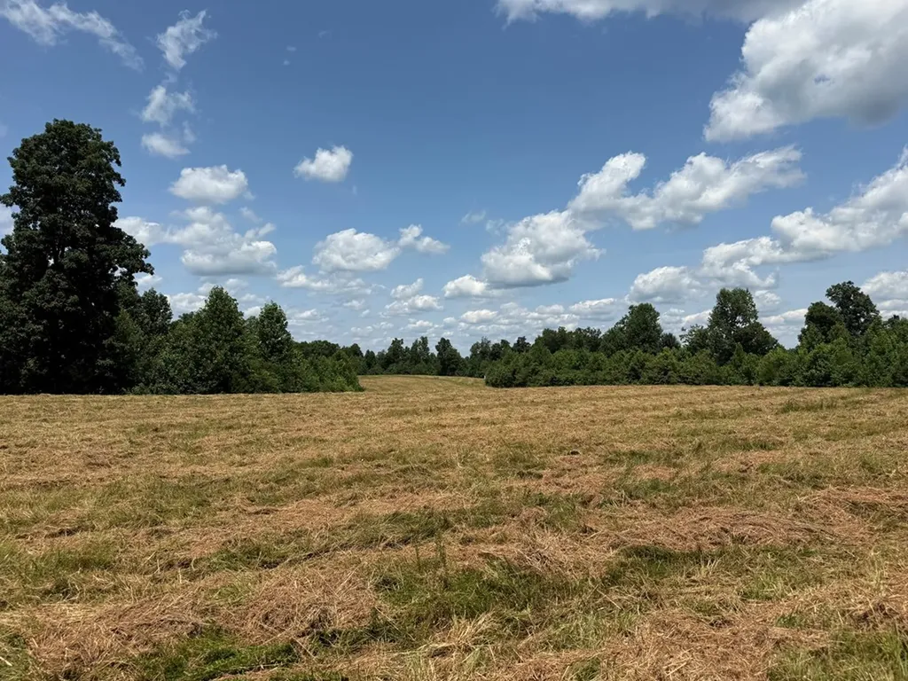 3225 S Grundy Quarles Highway Gainesboro TN 38562