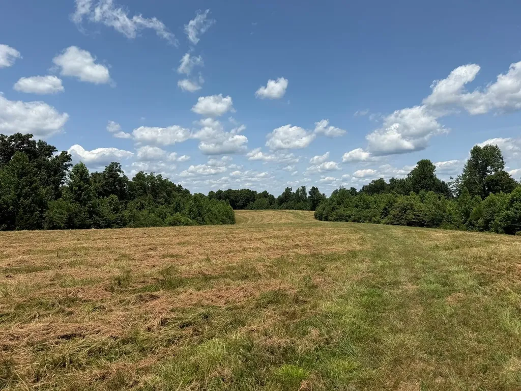 3225 S Grundy Quarles Highway Gainesboro TN 38562