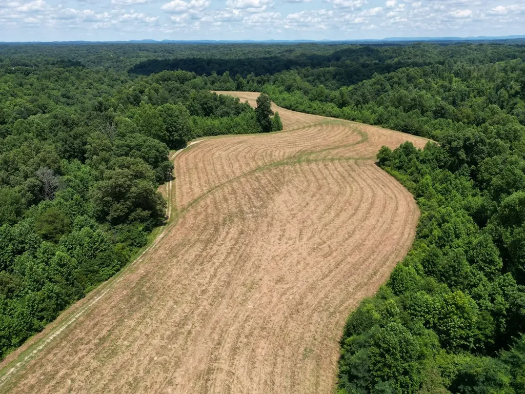 3225 S Grundy Quarles Highway Gainesboro TN 38562