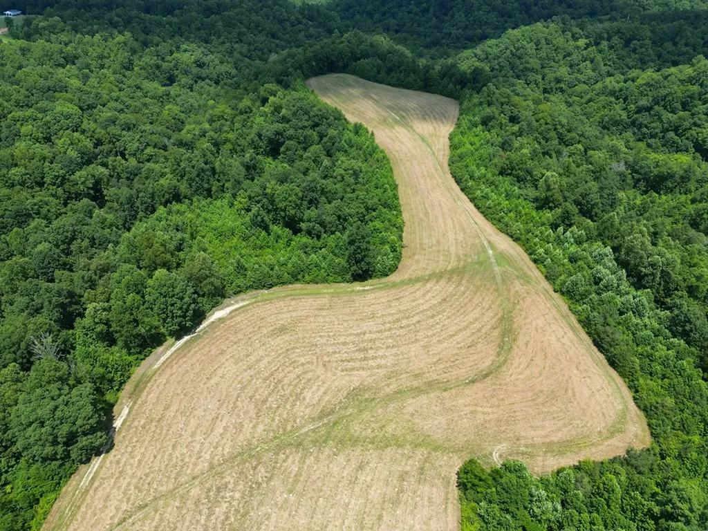 3225 S Grundy Quarles Highway Gainesboro TN 38562