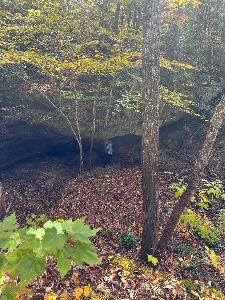 Lot 91 Buckeye Lane Wilder TN 38589