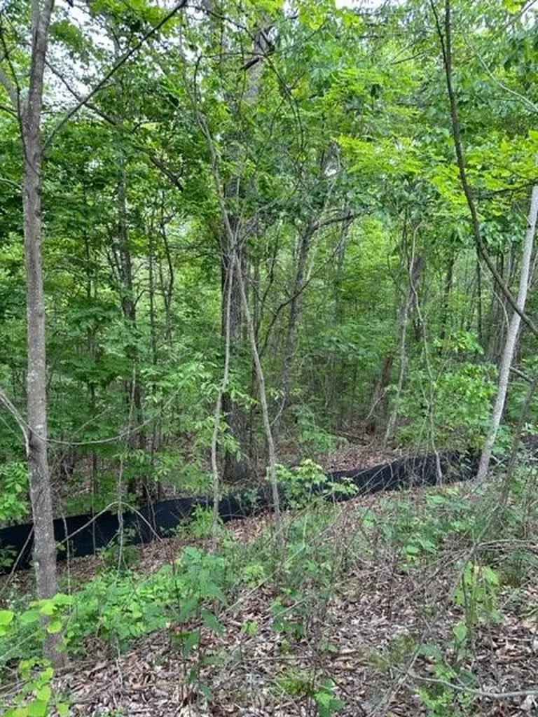 Lot 91 Buckeye Lane Wilder TN 38589