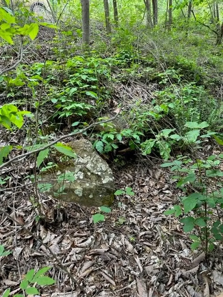 Lot 91 Buckeye Lane Wilder TN 38589