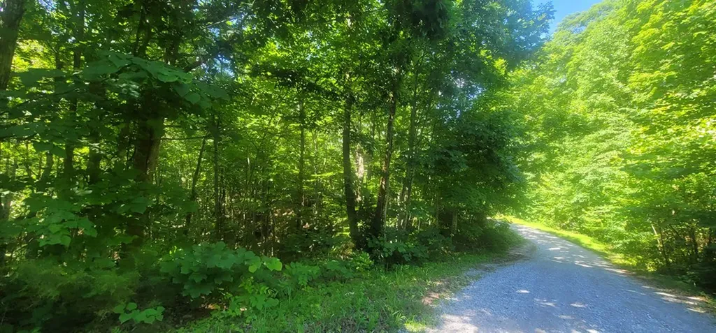 1250 Yellow Flats Spencer TN 38585