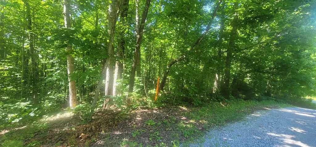 1250 Yellow Flats Spencer TN 38585