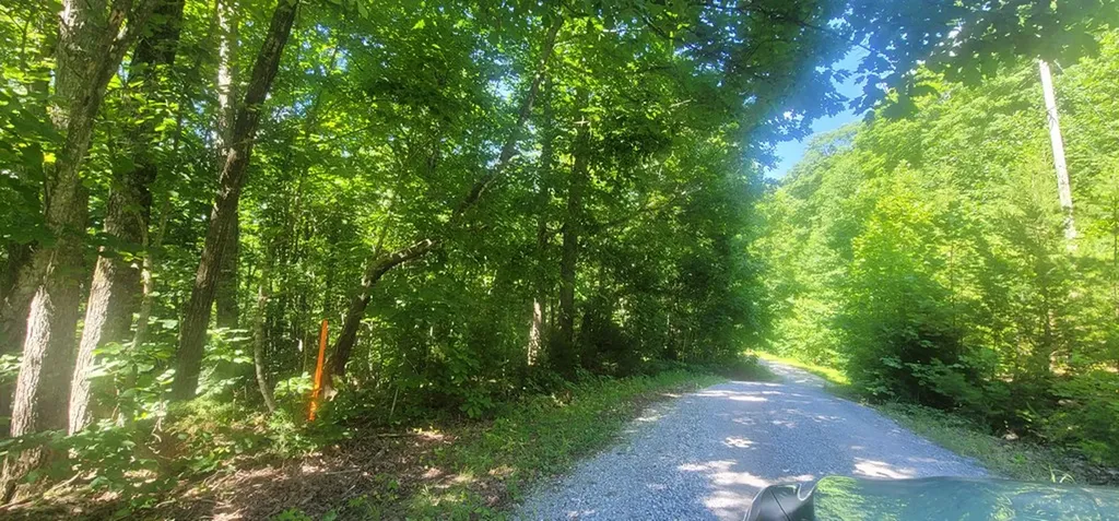 1250 Yellow Flats Spencer TN 38585