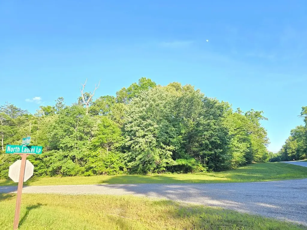 0 N N Laurel Loop Lot 15 Monterey TN 38574
