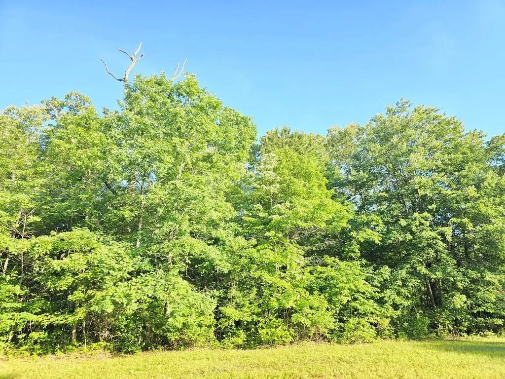 0 N N Laurel Loop Lot 15 Monterey TN 38574
